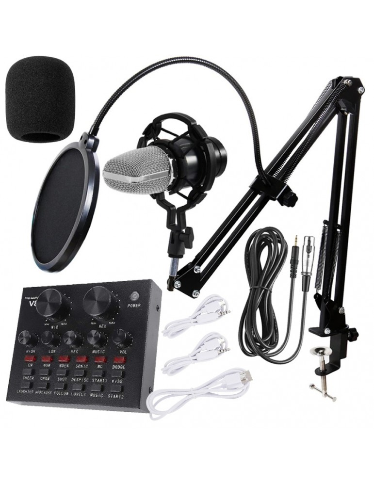 Microfono Condensador Brazo Soporte Bm800 Pc Estudio Antipop Black