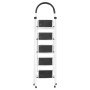 Escalera plegable de acero, 5 escalones, 100 kg