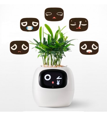 Maceta IVY Inteligencia...