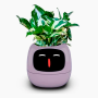 Maceta inteligente IVY con IA, sensores y app Tuya