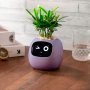 Maceta inteligente IVY con IA, sensores y app Tuya