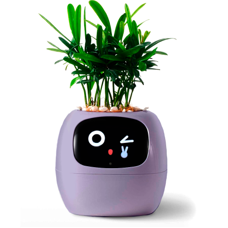 Maceta inteligente IVY con IA, sensores y app Tuya