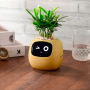 Maceta inteligente IVY con IA, sensores y app Tuya