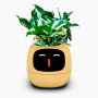 Maceta inteligente IVY con IA, sensores y app Tuya
