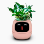 Maceta inteligente IVY con IA, sensores y app Tuya