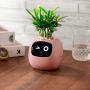 Maceta inteligente IVY con IA, sensores y app Tuya