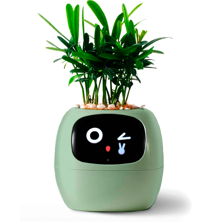 Maceta inteligente IVY con IA, sensores y app Tuya