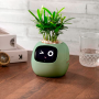 Maceta inteligente IVY con IA, sensores y app Tuya