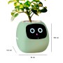 Maceta inteligente IVY con IA, sensores y app Tuya