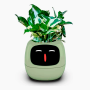 Maceta inteligente IVY con IA, sensores y app Tuya