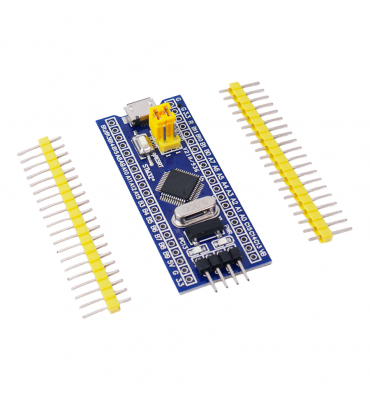 Modulo Desarrollo...