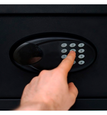 Caja Fuerte Ignífuga 20 x...