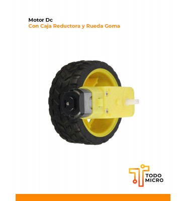 Motor Dc con Caja Reductora...