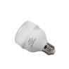 Bombilla LED T100 30W Luz Fría Galponera