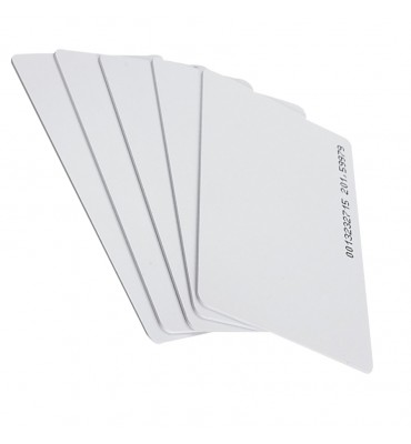 Tarjeta TAG RFID 125KHZ...