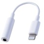 Adaptador Lightning a miniplug 3.5mm para iPhone