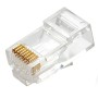 Plug RJ45 transparente para cable UTP CAT6