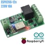 Módulo WiFi ESP8266 ESP-12E con relé de 220V 10A